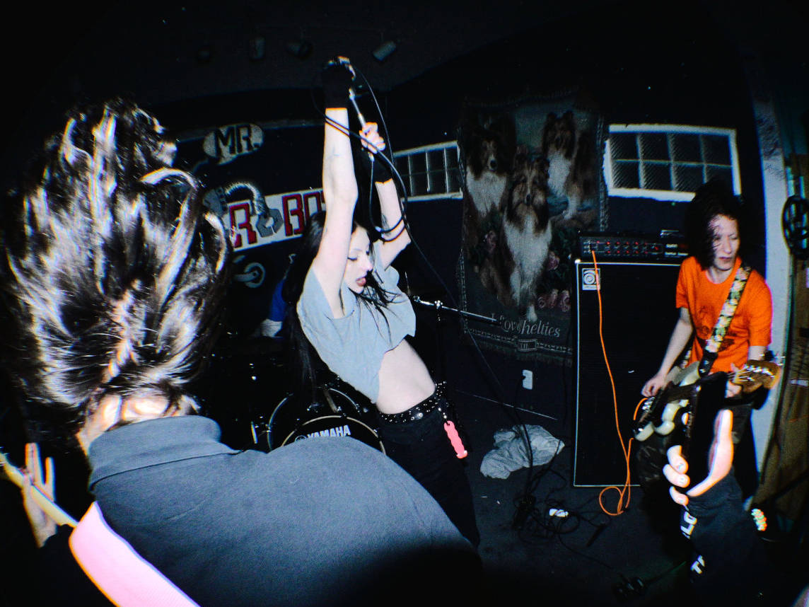 theyhungusfrompowerlines